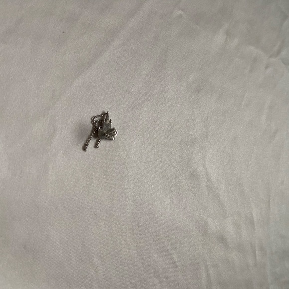 Pupil hall not so secret - Picture 3 of 10